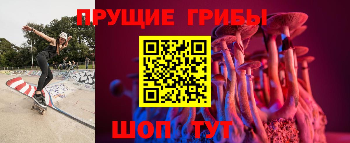 Коломна  как найти закладки  Псилоцибиновые грибы Cubensis  Вход с VPN  Псилоцибиновые грибы мицелий 